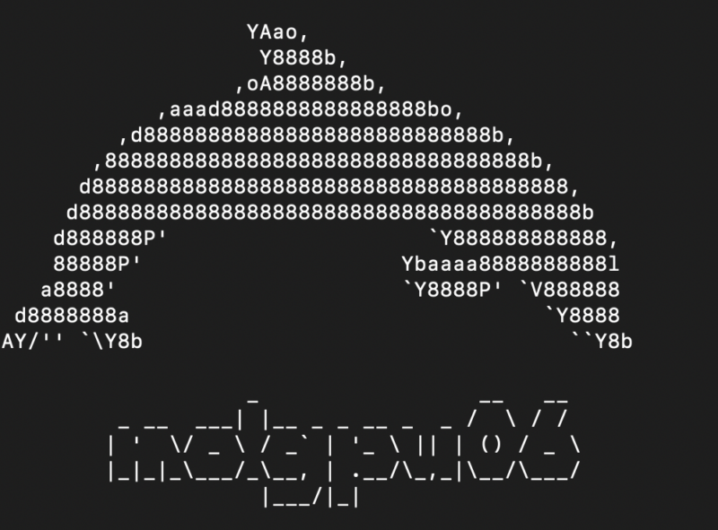 Another terminal screenshot featuring an intricate ASCII art of a whale-like shape made of repeated